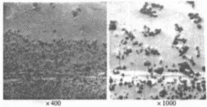 Fig. 3 Immagine SEM in corrispondenza del legame di due materiali