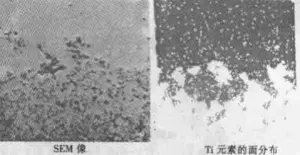 Fig. 4 Immagine SEM al legame di due materiali e distribuzione di Ti